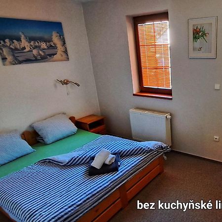 Hotel Penzion Sunski Harrachov Zewnętrze zdjęcie